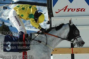 Details Kategorie: 2017